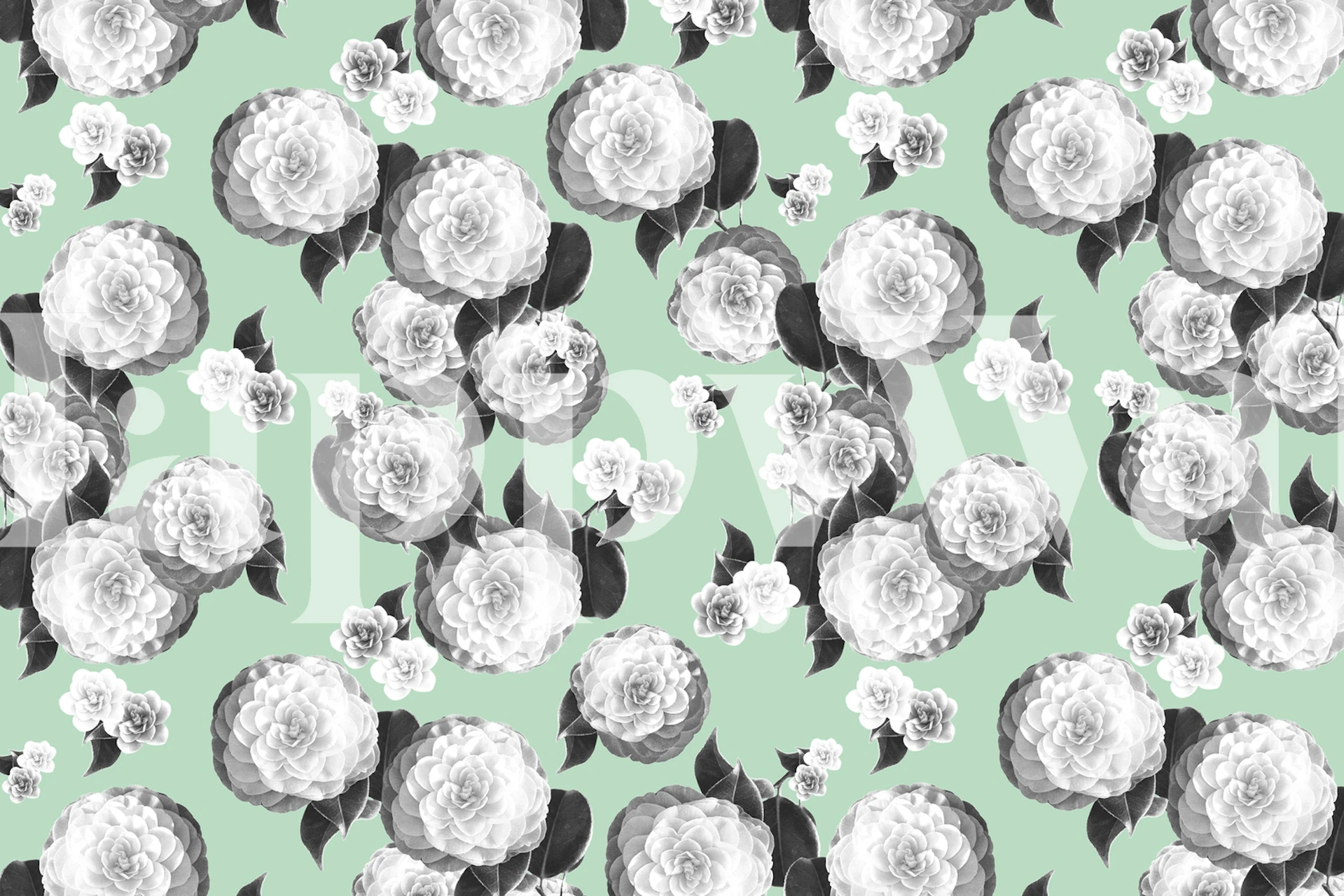 Floral wallpaper design in a room