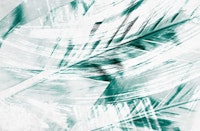 Raining Forest 1 tapetit