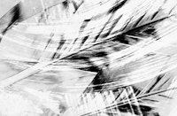 Raining Forest 2 tapetit