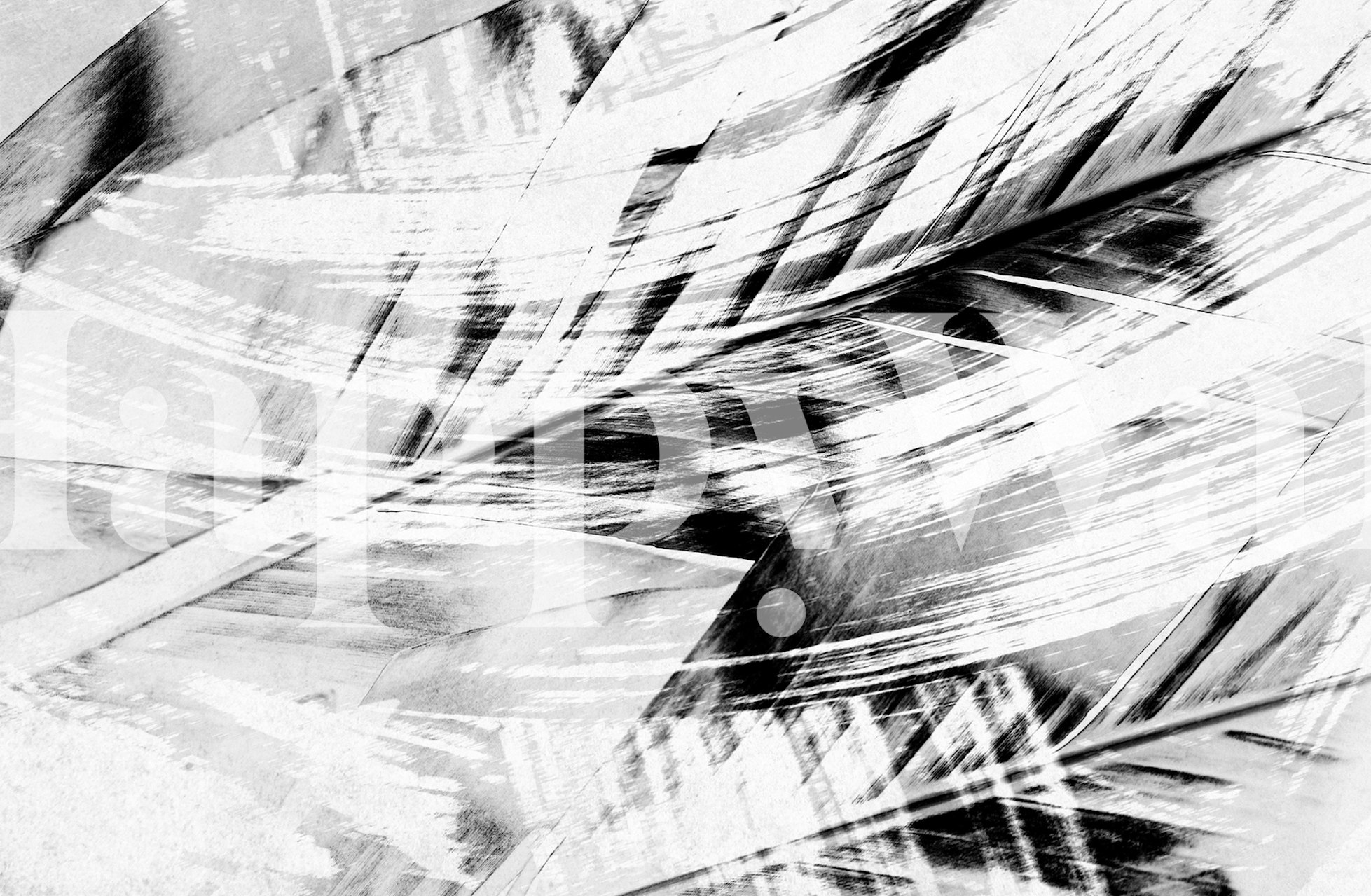 Abstrakcyjna czarno-biała fototapeta przedstawiająca dynamiczną esencję deszczu w lesie