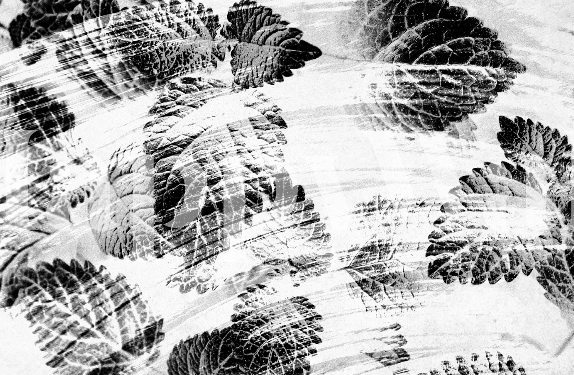 Raining Forest 3 wallpaper in a room