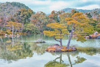Garden In Kyoto papiers peint