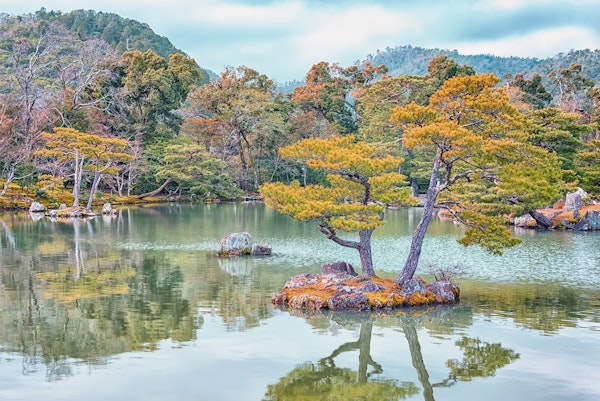 Garden In Kyoto