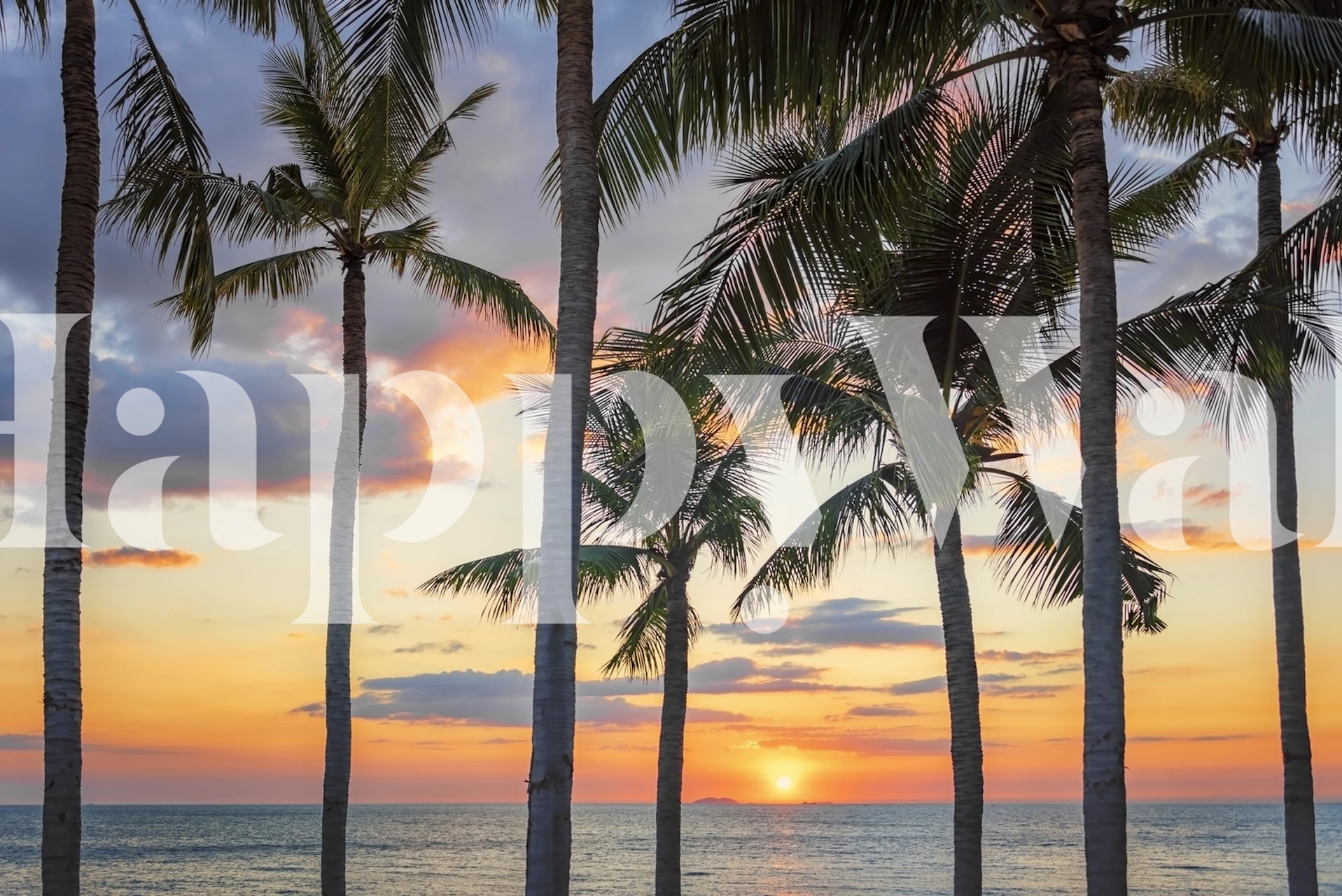 Papier peint Island Sunset avec des palmiers