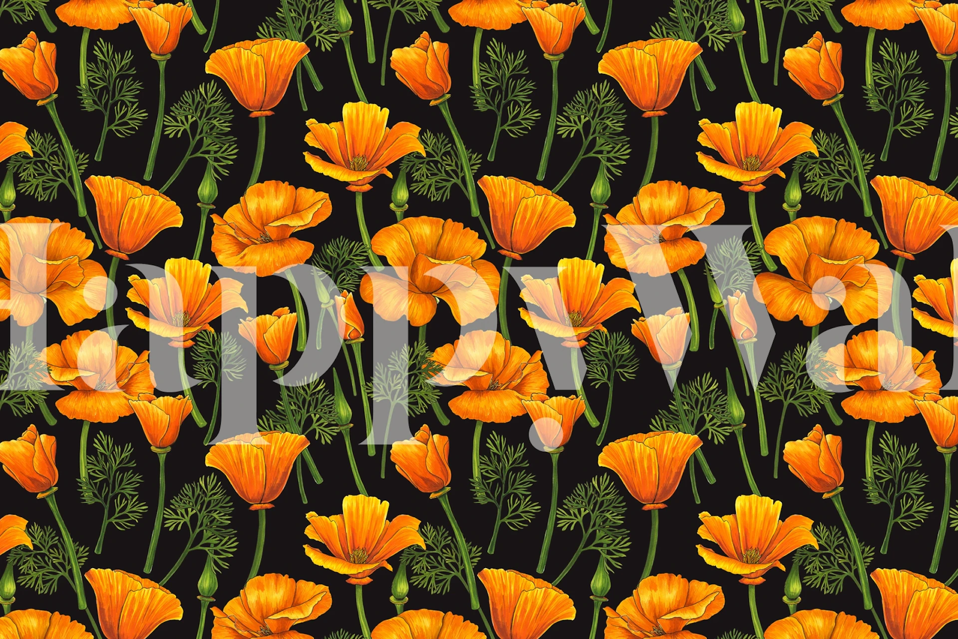 California poppies wanddecoratie ontwerp in een kamer
