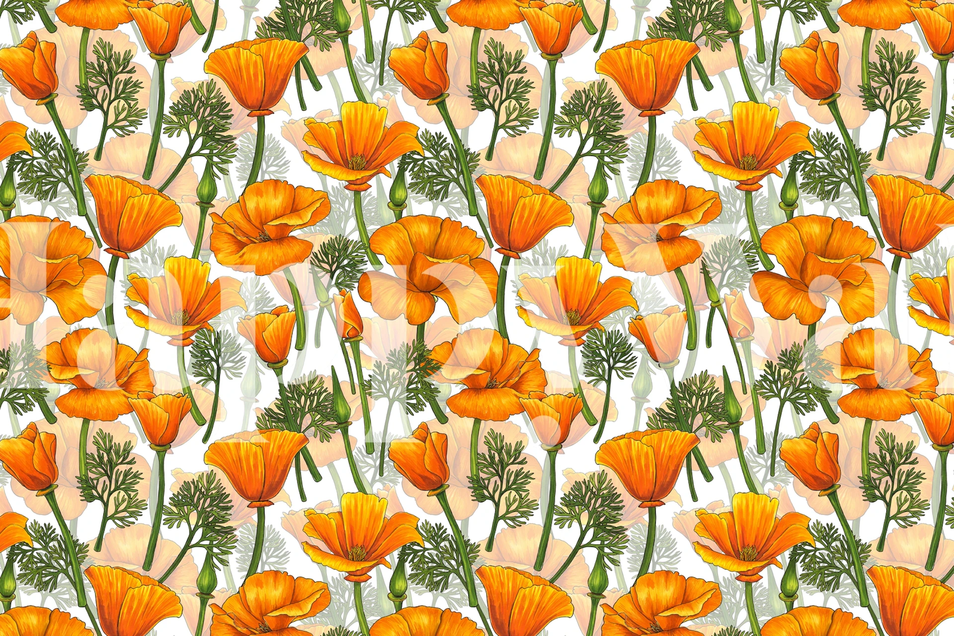 California Poppies 3 vægmaleri med lyse orange blomster og grønne blade