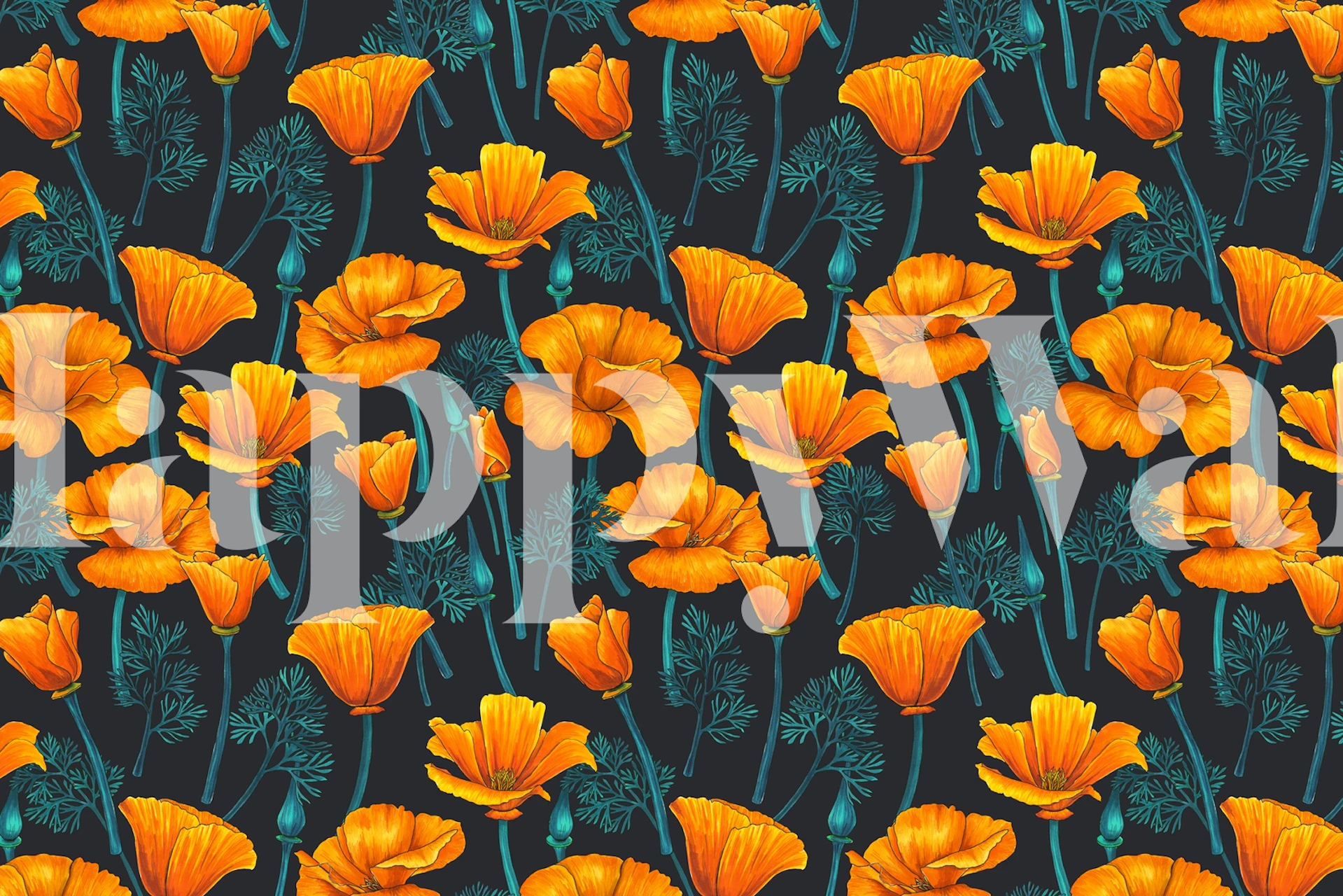 Orange californiske valmuer på et mørkt baggrundsvægmaleri