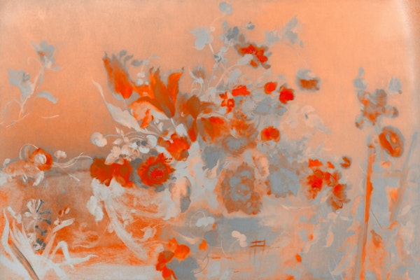 Orange Peach Flowers Grunge