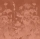 Orange Peach Flowers Grunge