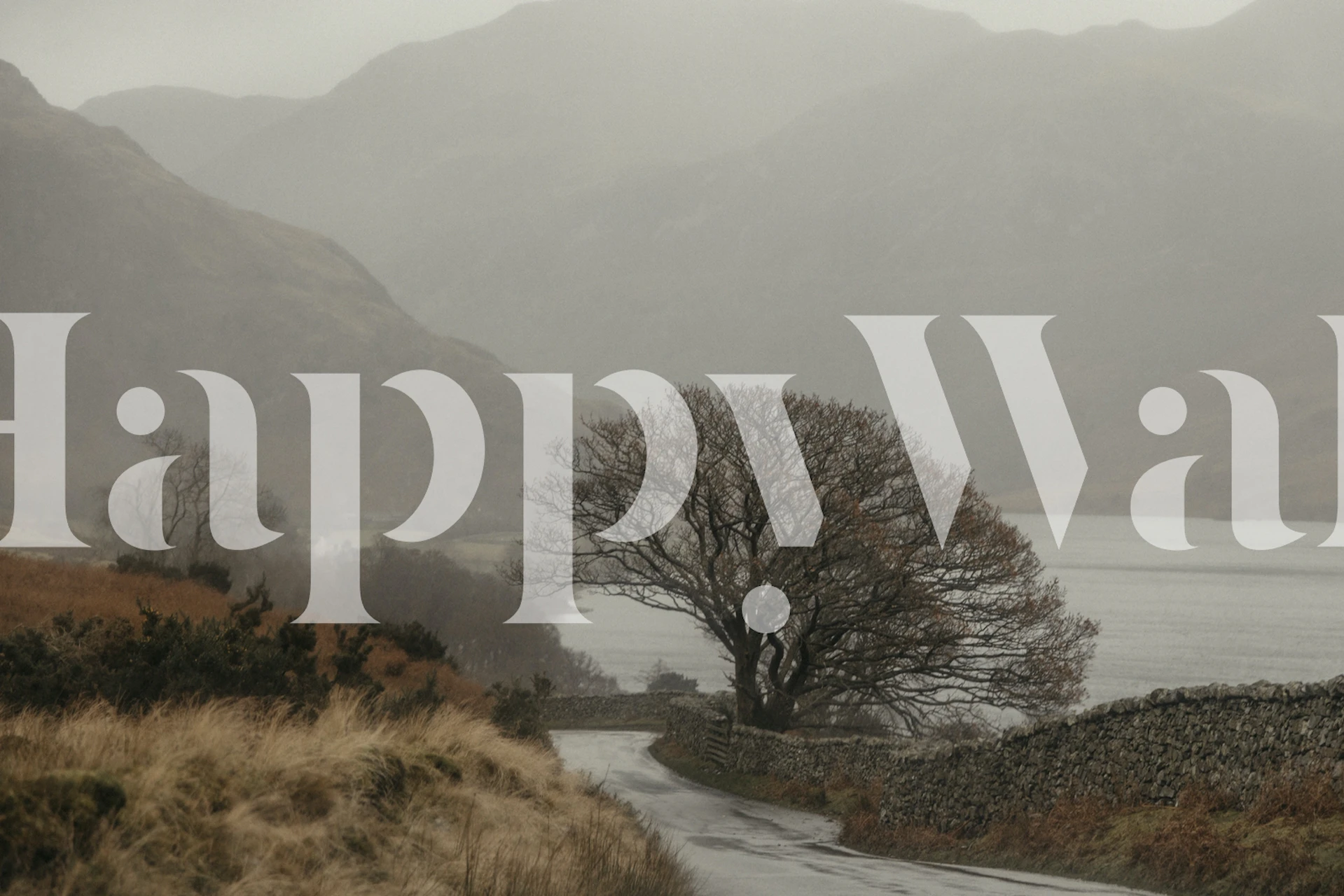 Scenic gray nature wallpaper with a lone tree and misty mountains