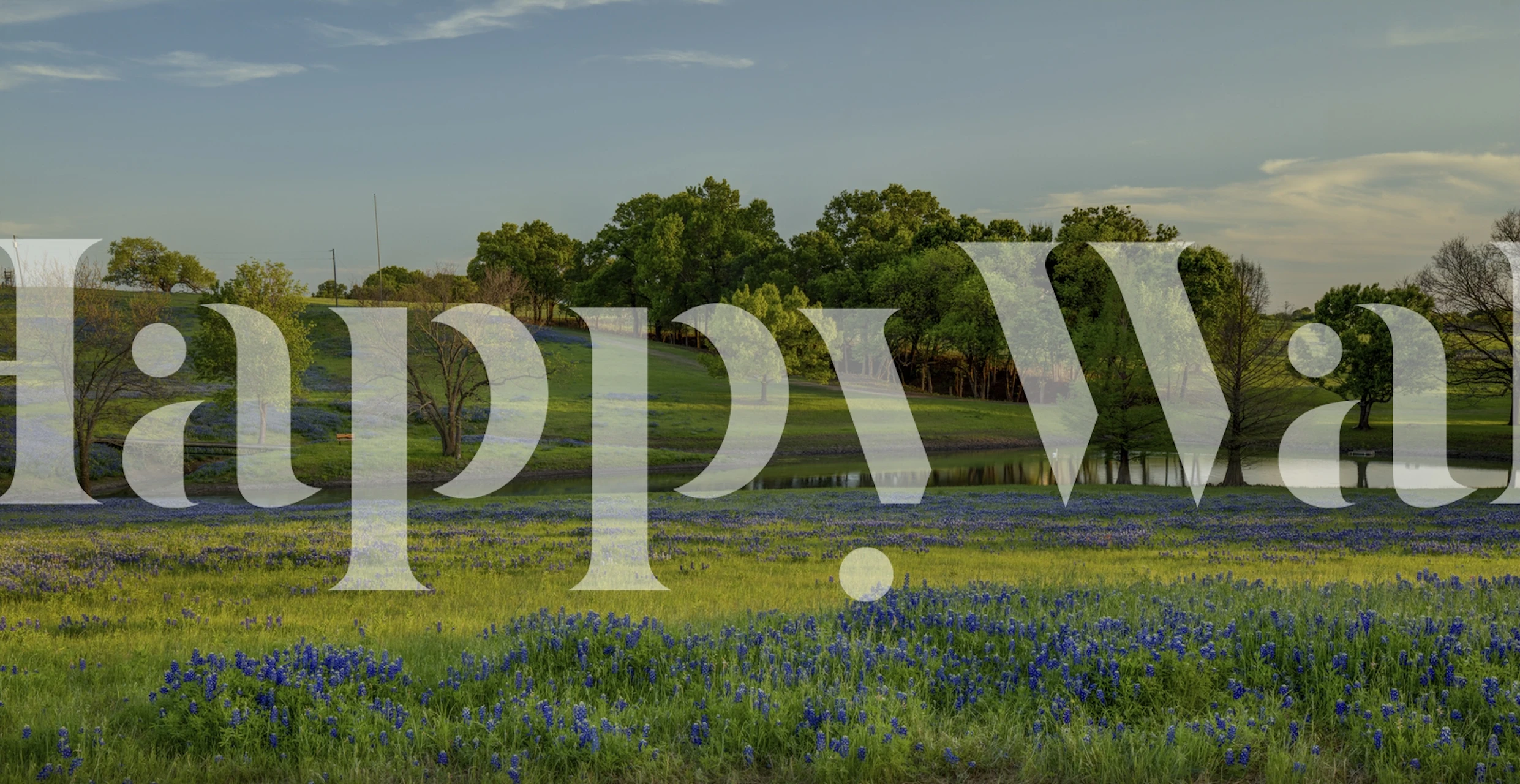 Blue floral patterns over green grass wallpaper