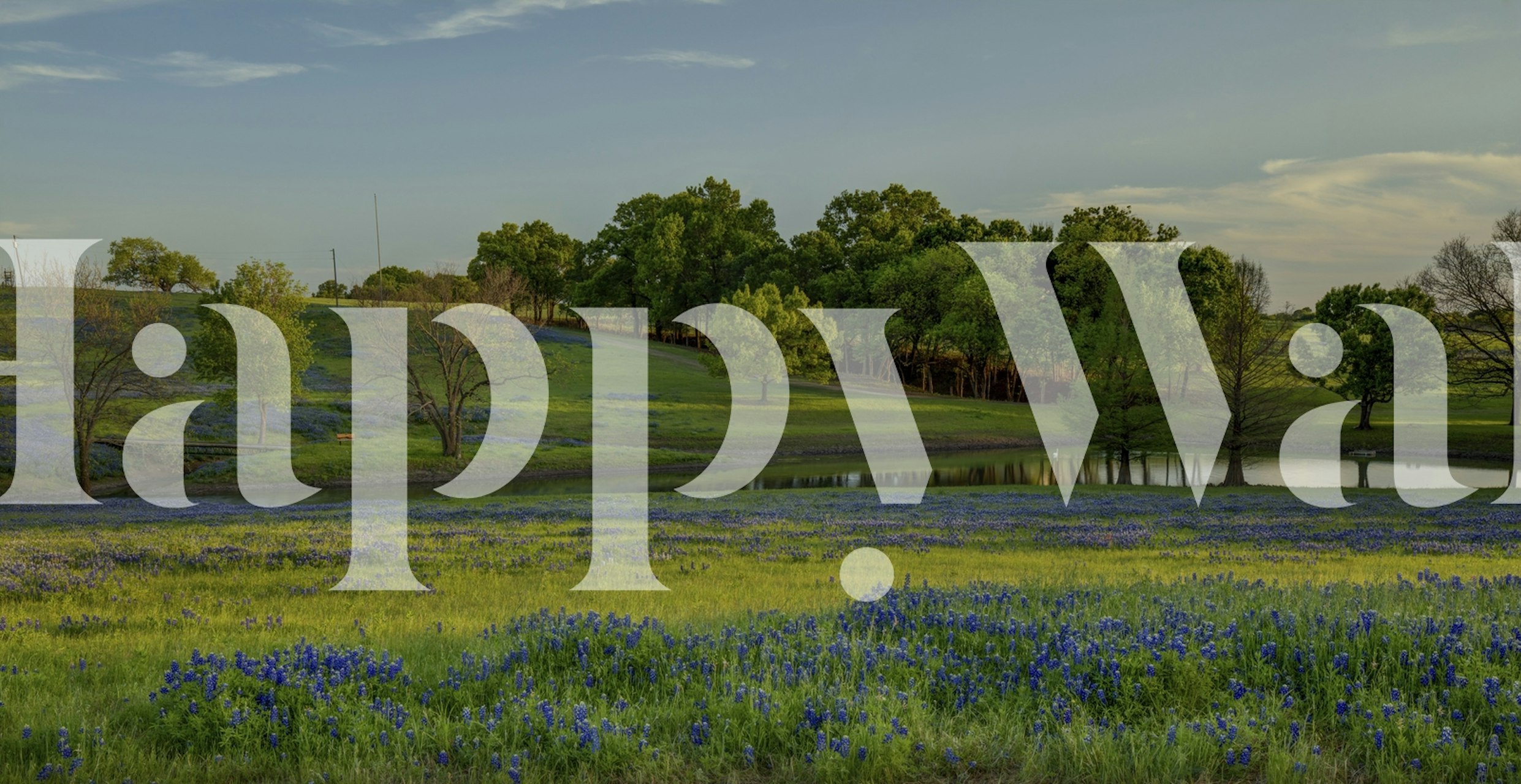 Blue floral patterns over green grass wallpaper