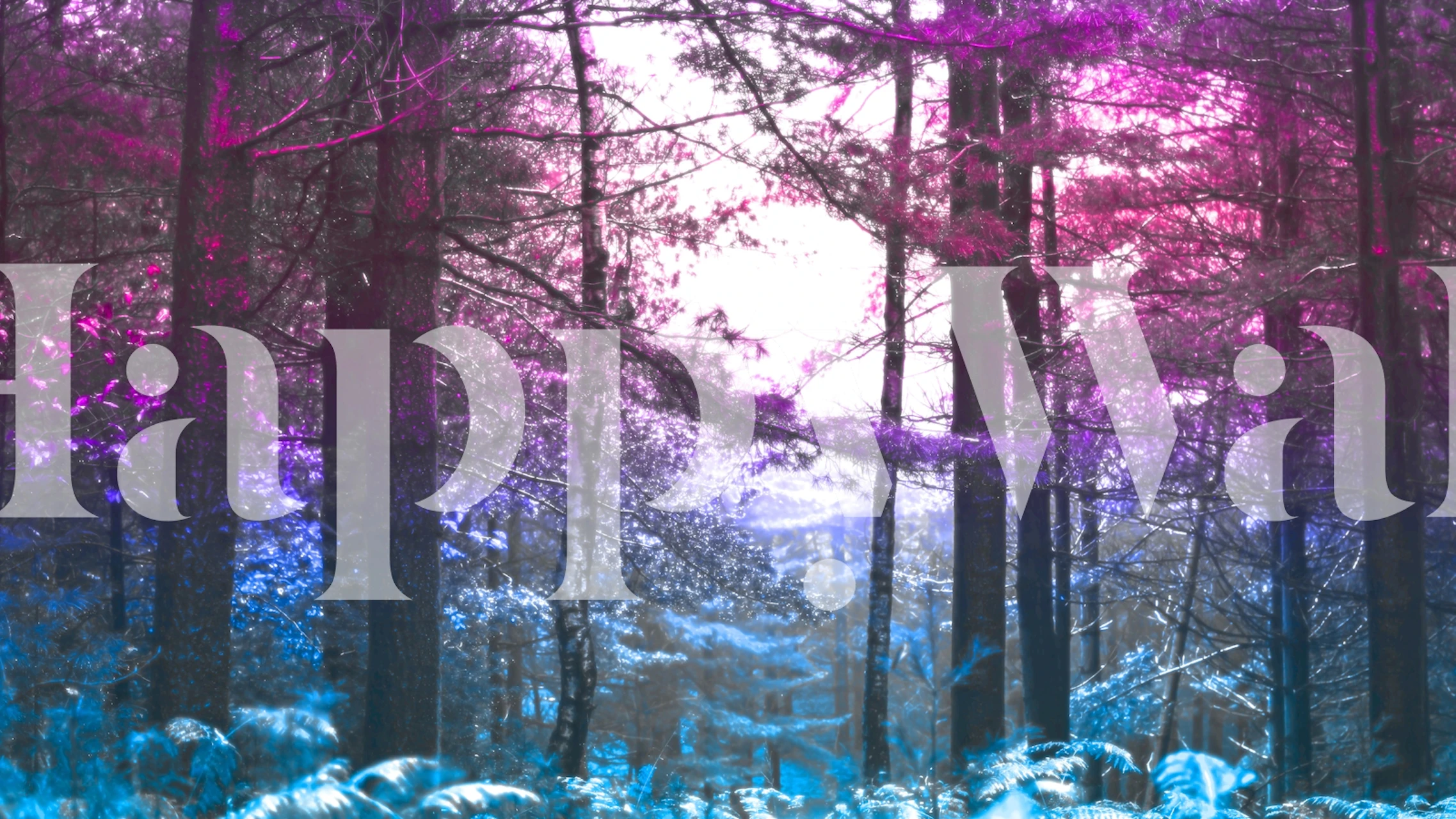 Bright colorful forest wallpaper in a room