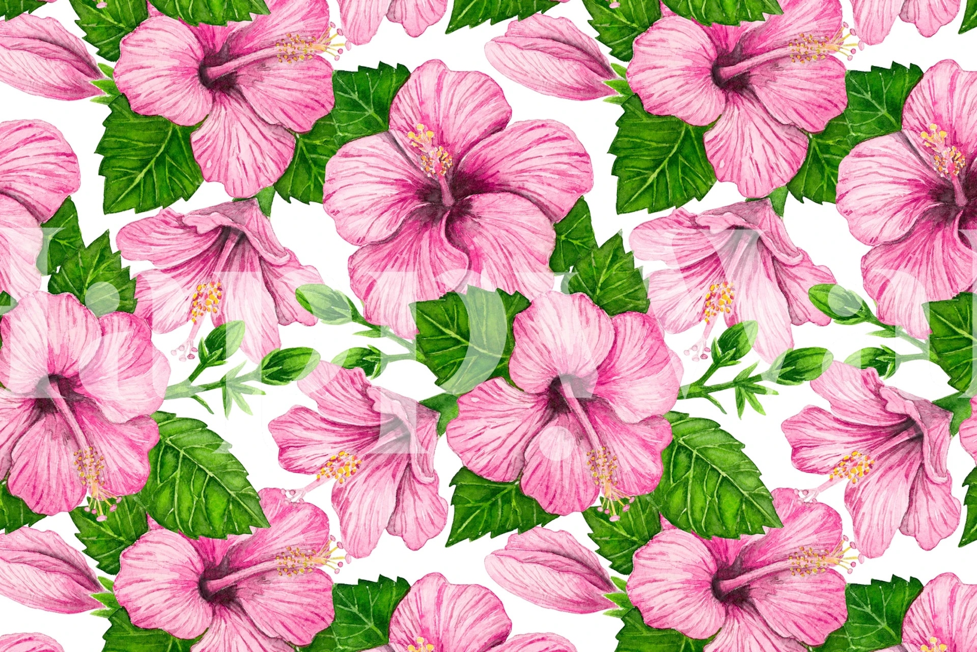 Pink hibiscus watercolor wallpaper design