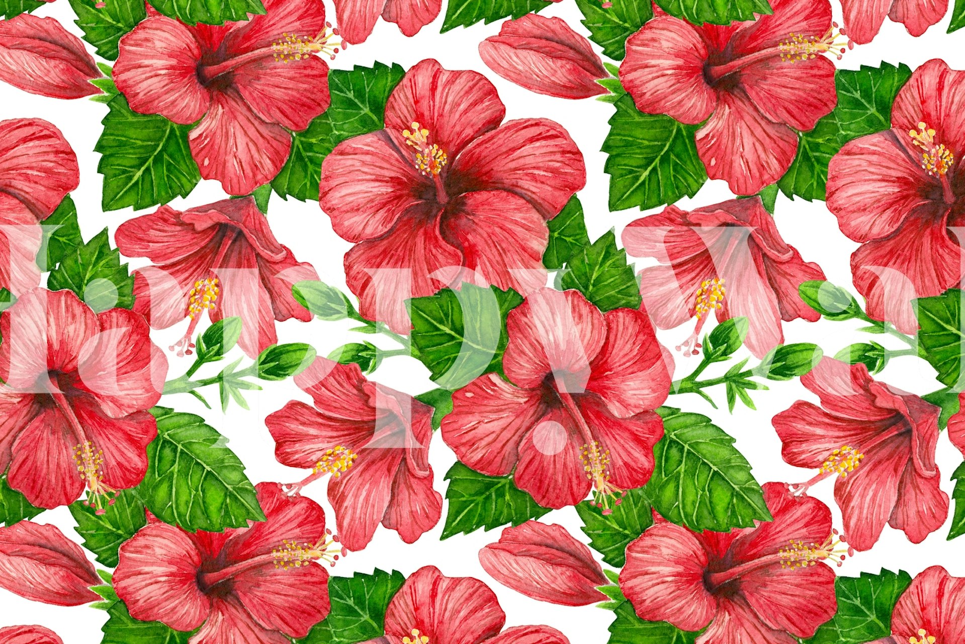 Red hibiscus άνθη και πράσινα φύλλα υδατογραφία σχέδιο σε τοιχογραφία