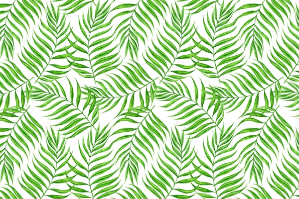 Palm leaves watercolor