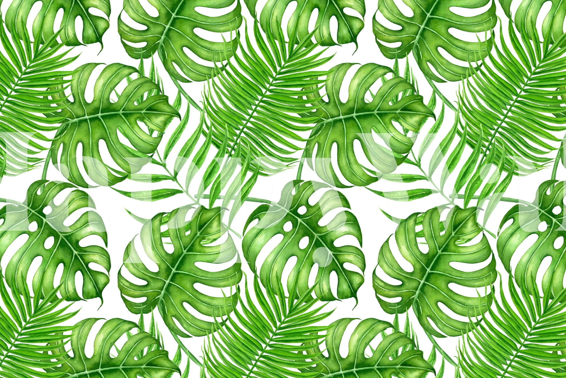 Tropical leaves in vibrant green colors on white background wallpaper