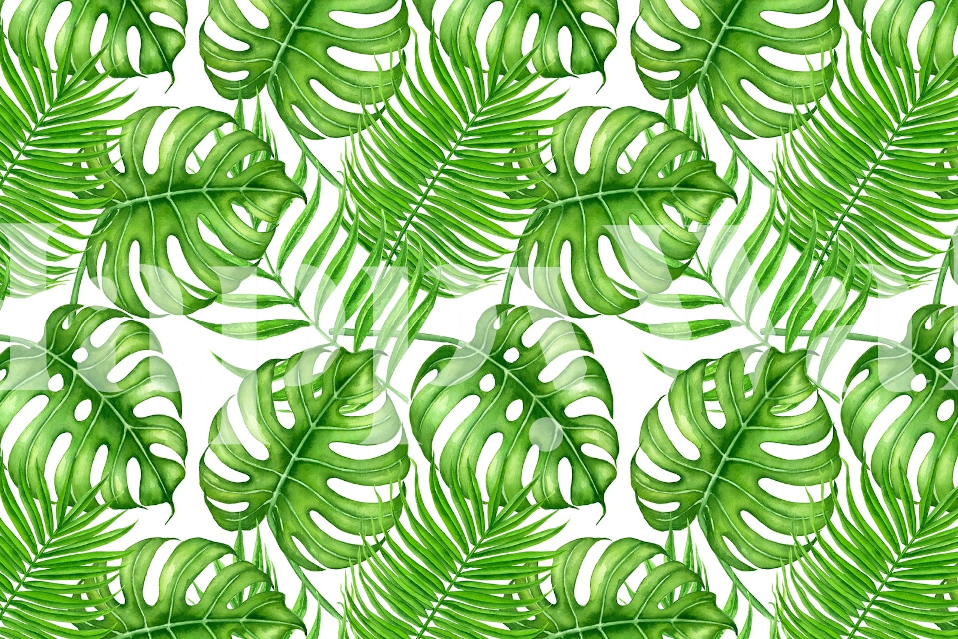 Tropical leaves in vibrant green colors on white background wallpaper