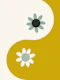 Yin Yang floral - earthy
