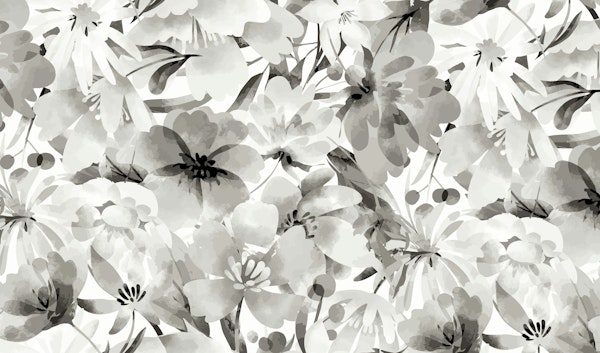 Grey Spring Flower Blossoms