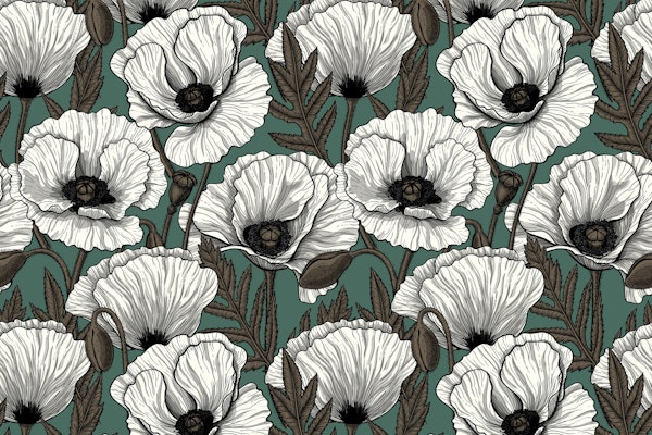 Poppy garden in white
