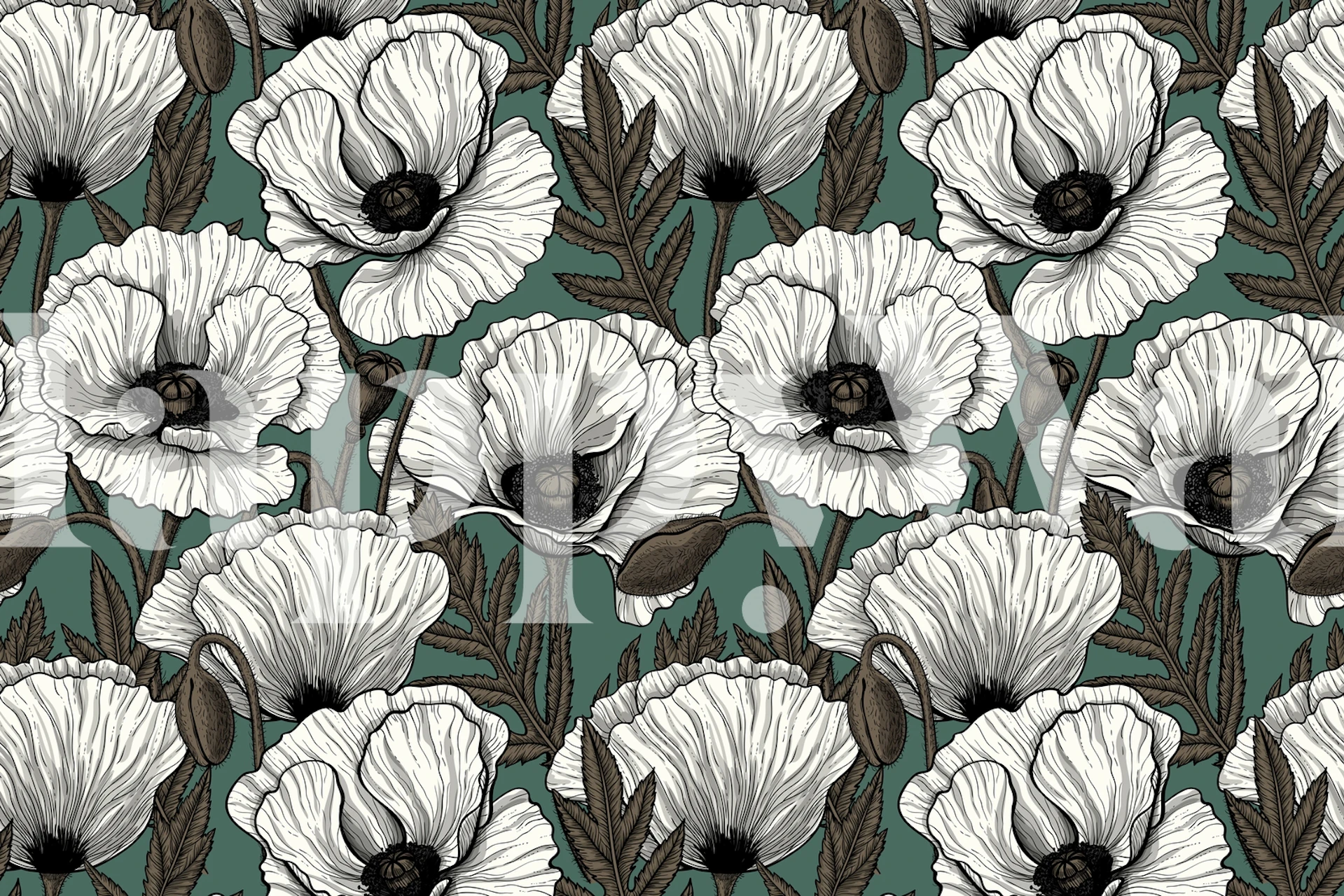 Black and white poppy flowers on teal background wallpaper