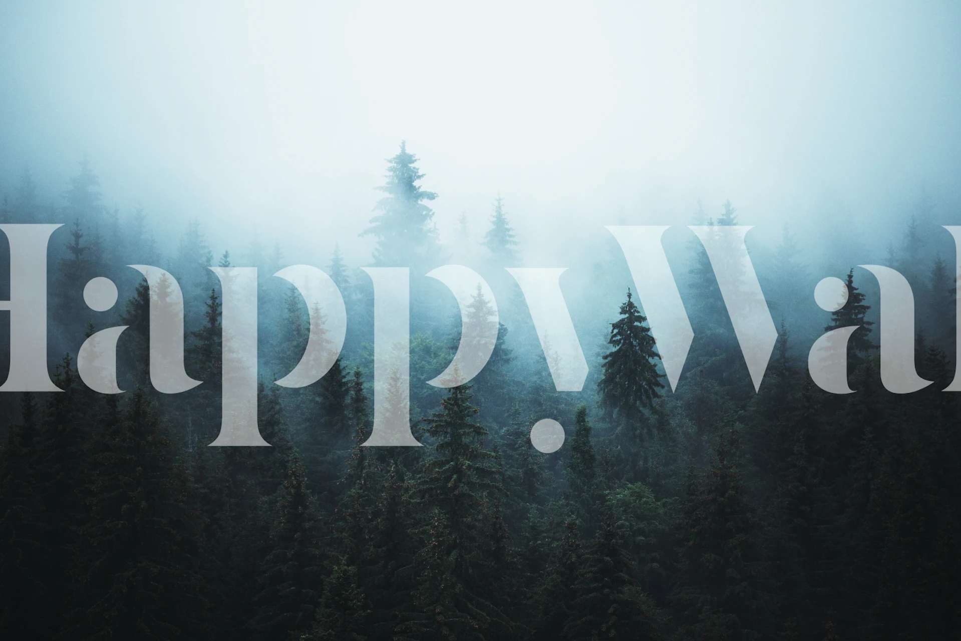 Misty forest with evergreen trees and fog wallpaper