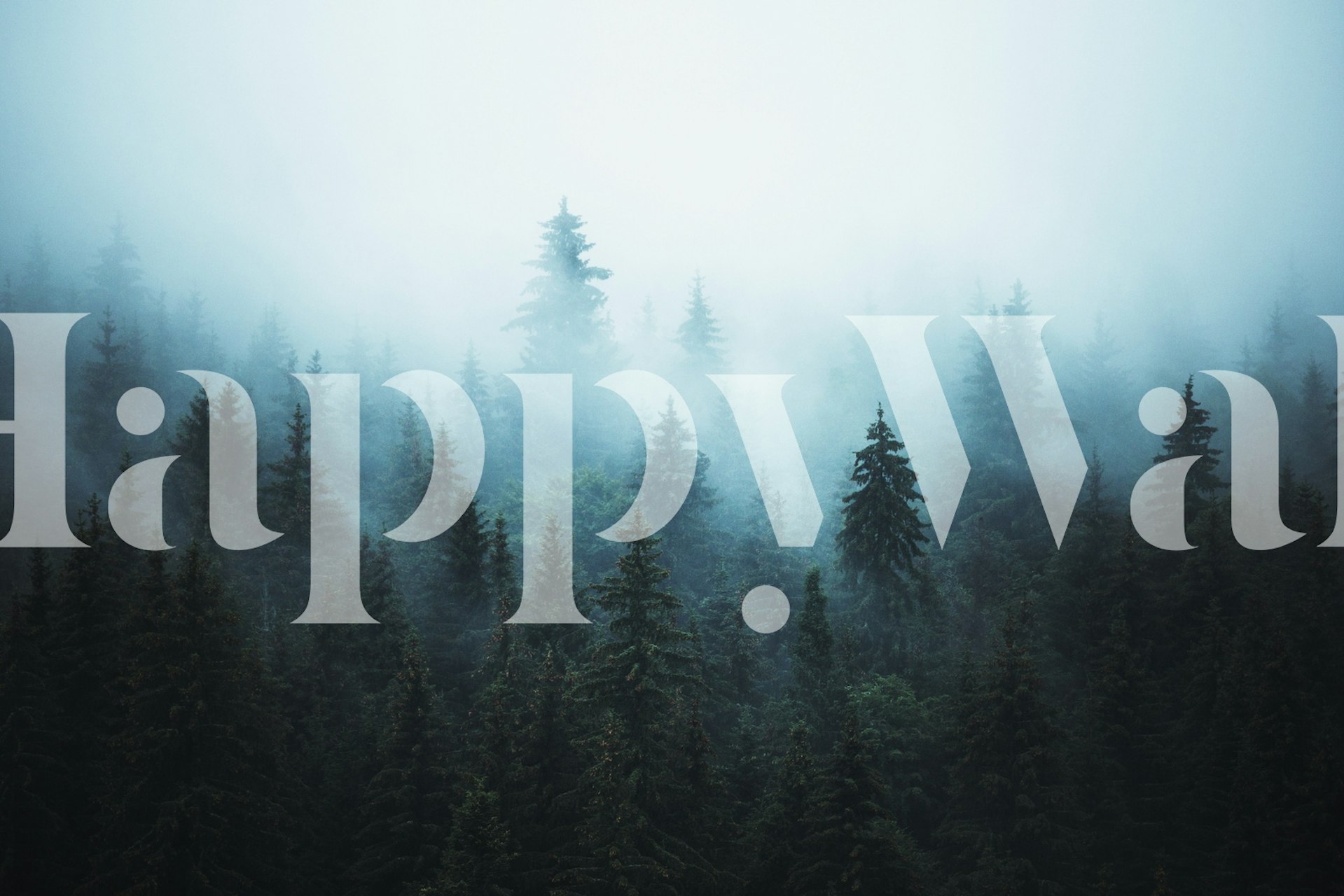 carta da parati Misty Forest IV esposta in una stanza