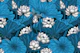 Night lotus garden 2