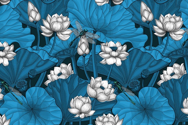 Night lotus garden 2