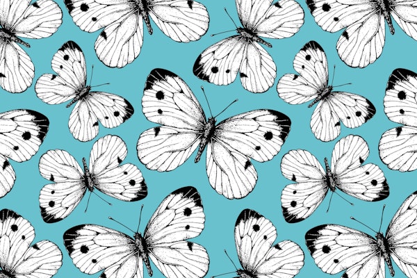 Cabbage butterfly pattern