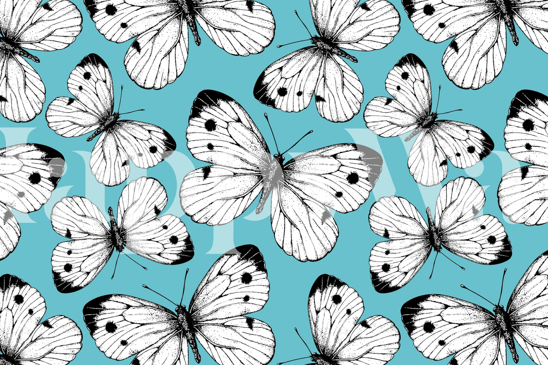 Cabbage butterfly pattern Tapete in einem Raum
