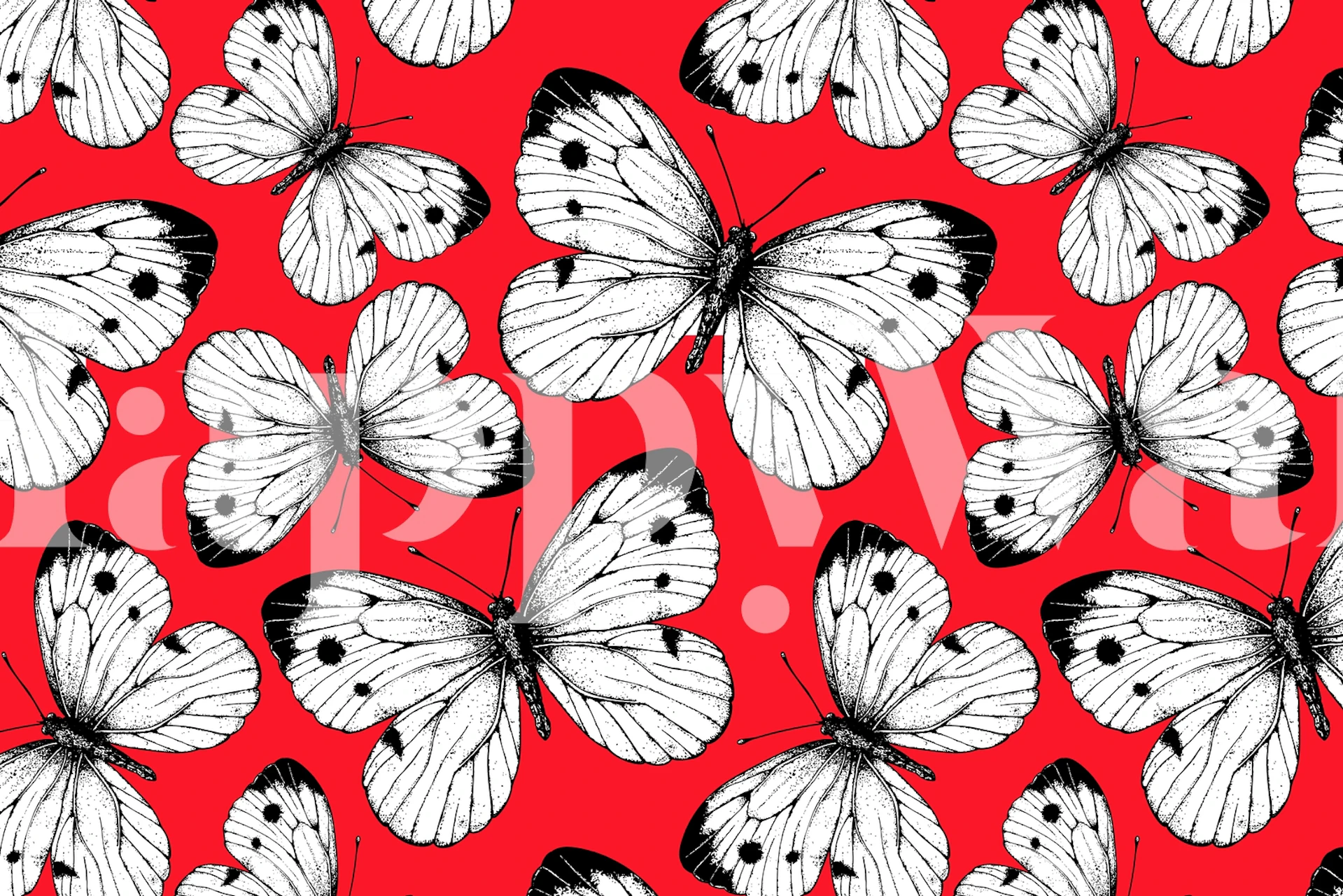 Cabbage butterfly pattern tapet i et rom