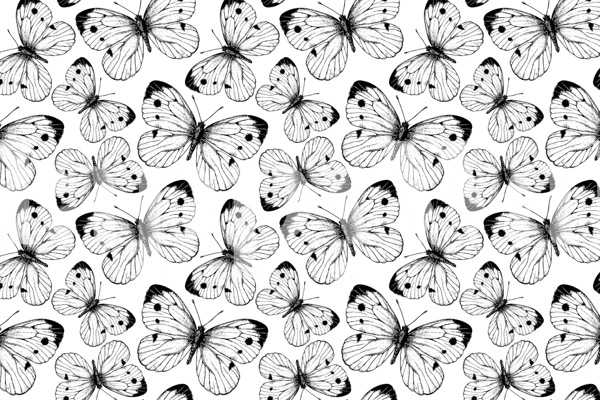 Cabbage butterfly pattern tapet i ett rum