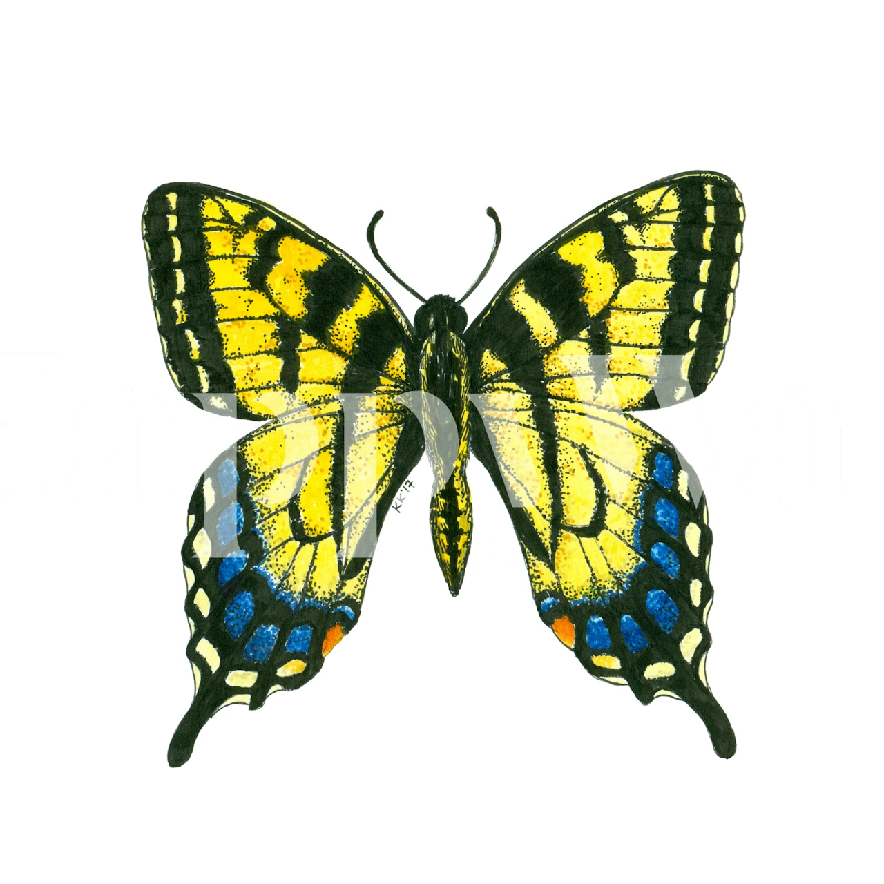 Yellow and blue tiger swallowtail butterfly wallpaper