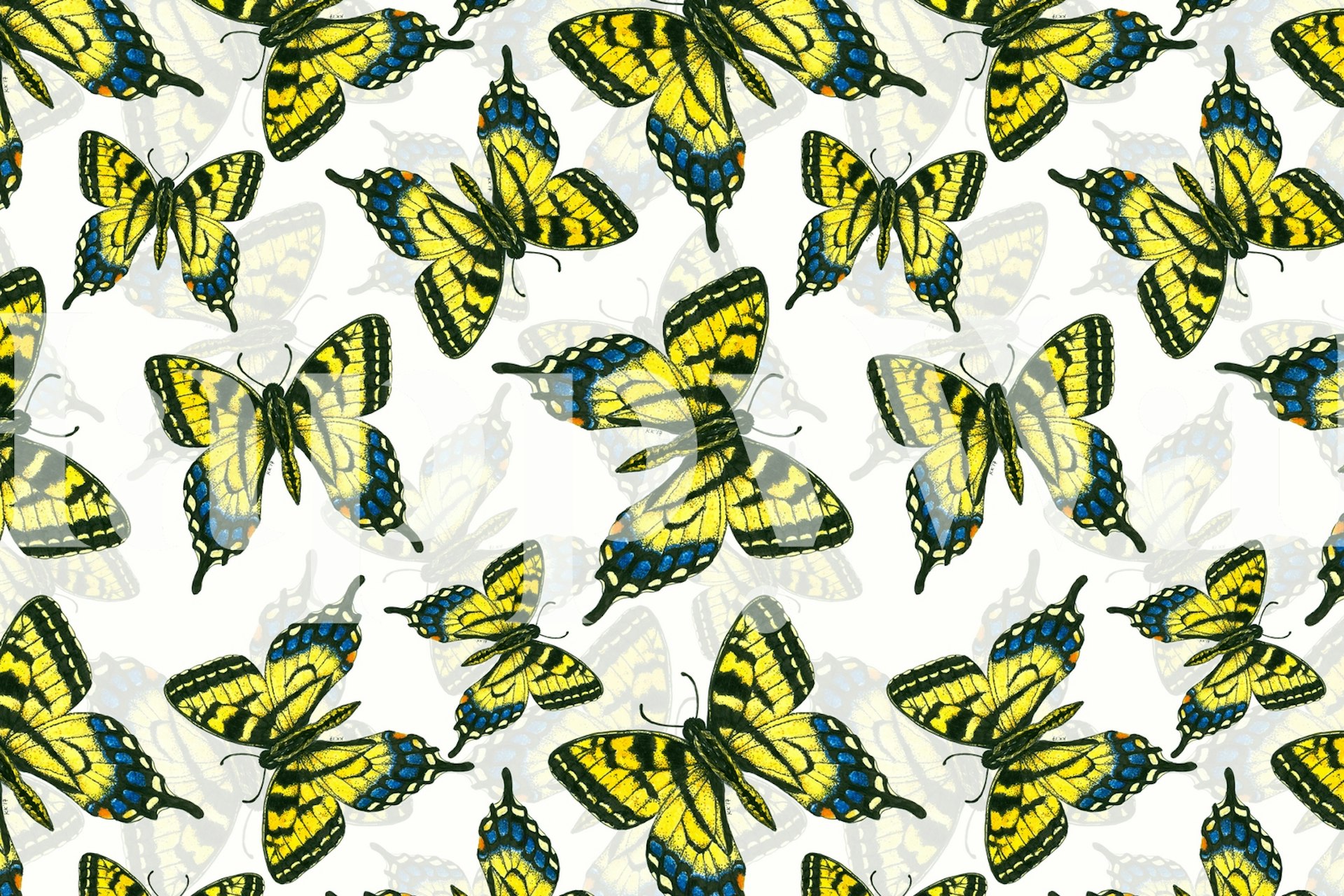 Design di carta da parati Tiger swallowtail butterfly