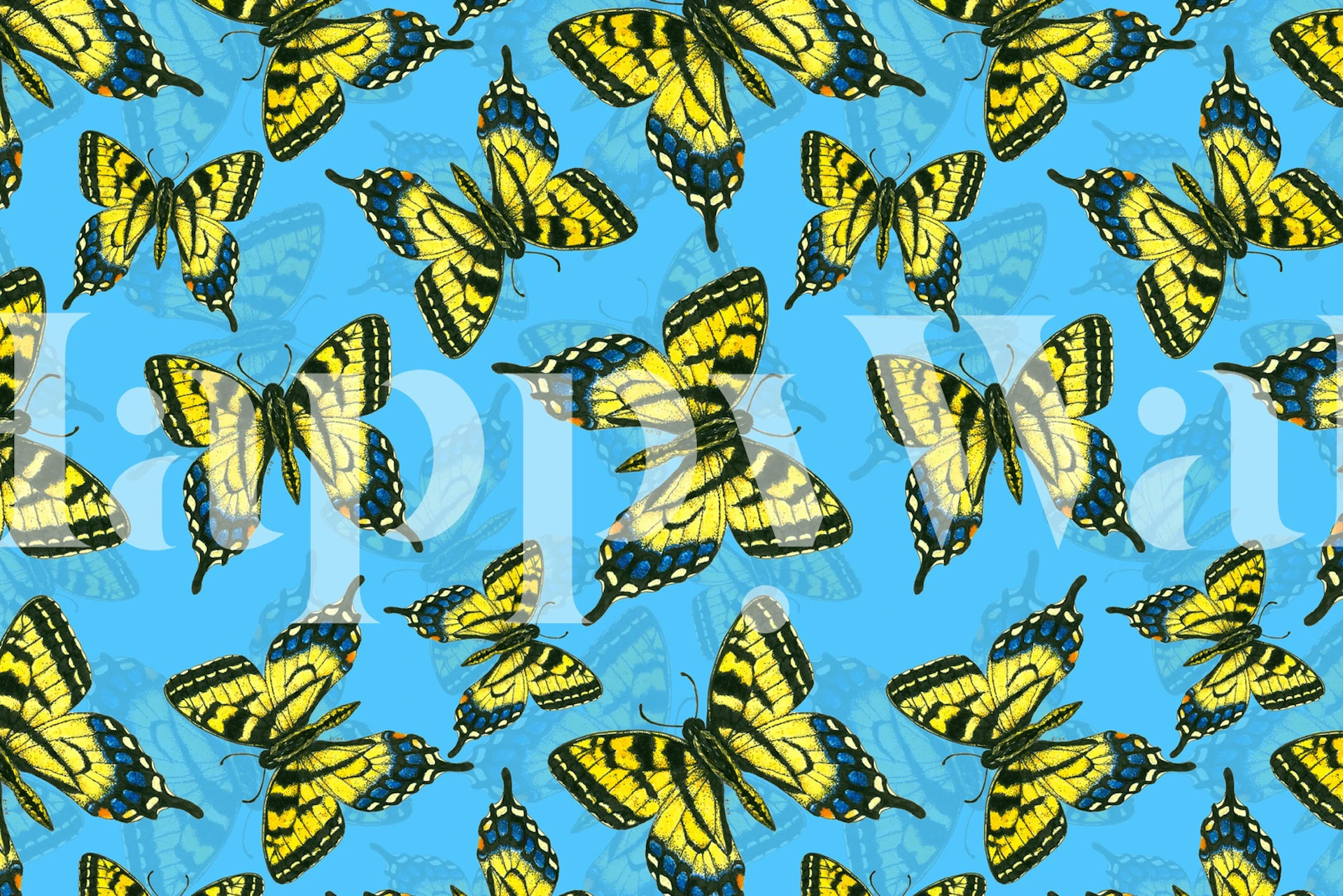 Tiger swallowtail butterfly behang in een kamer