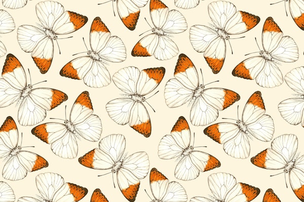 Butterflies watercolor pattern