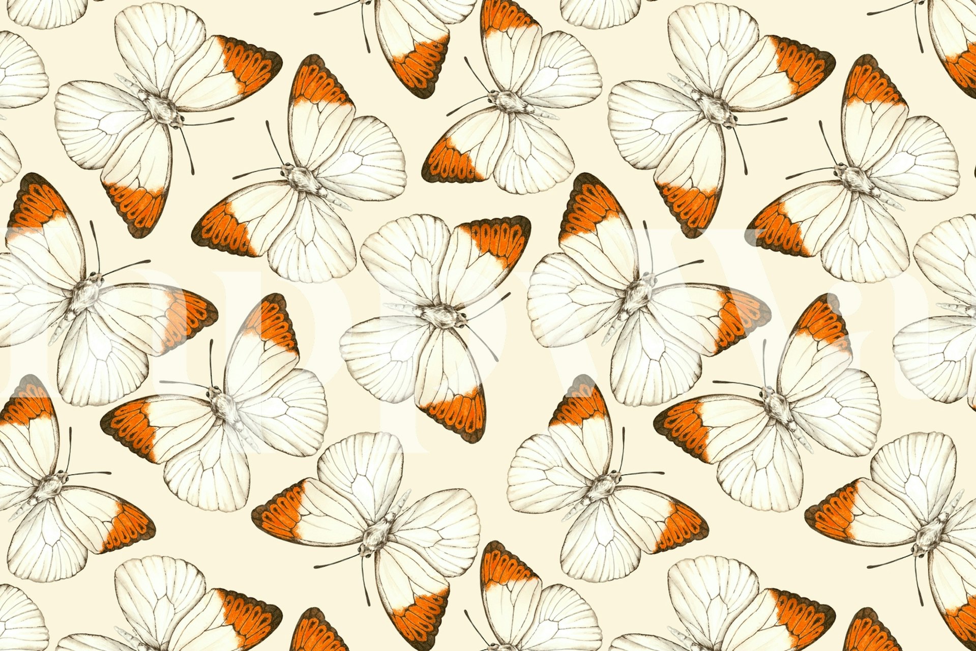 Butterfly pattern in cream and orange colors watercolor wallpaper