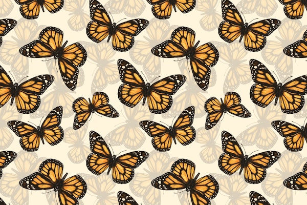 Monarch butterfly pattern