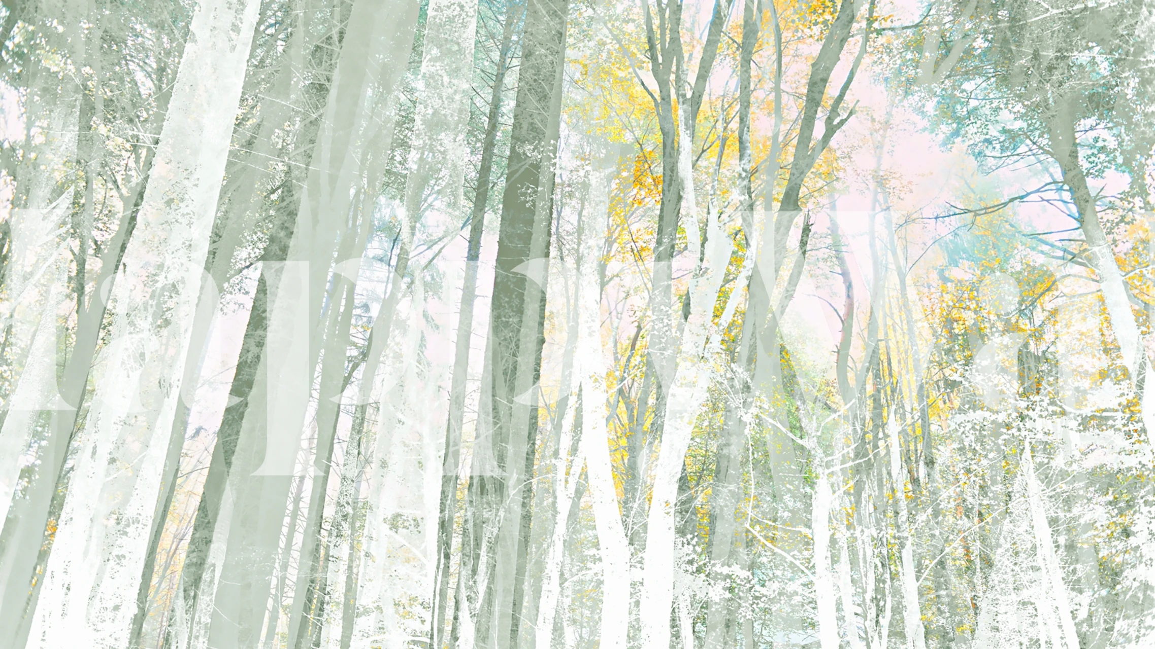 Forest trees in soft green hues, nature-inspired wallpaper