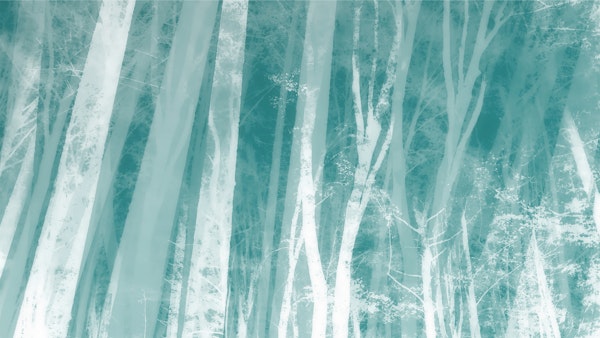 Soft Teal Cyan Forest