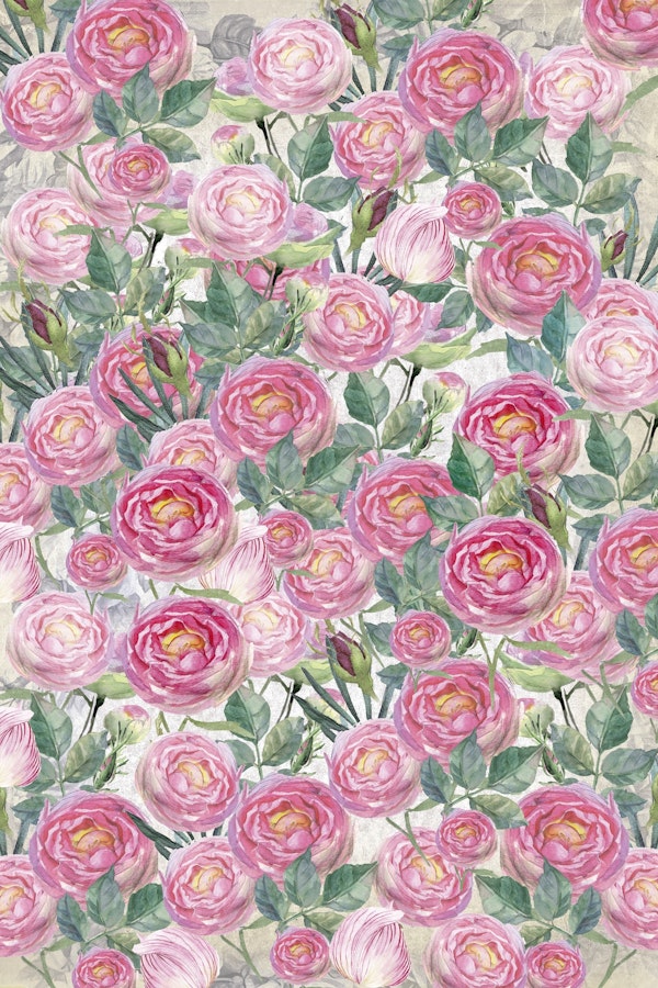 Vintage Roses
