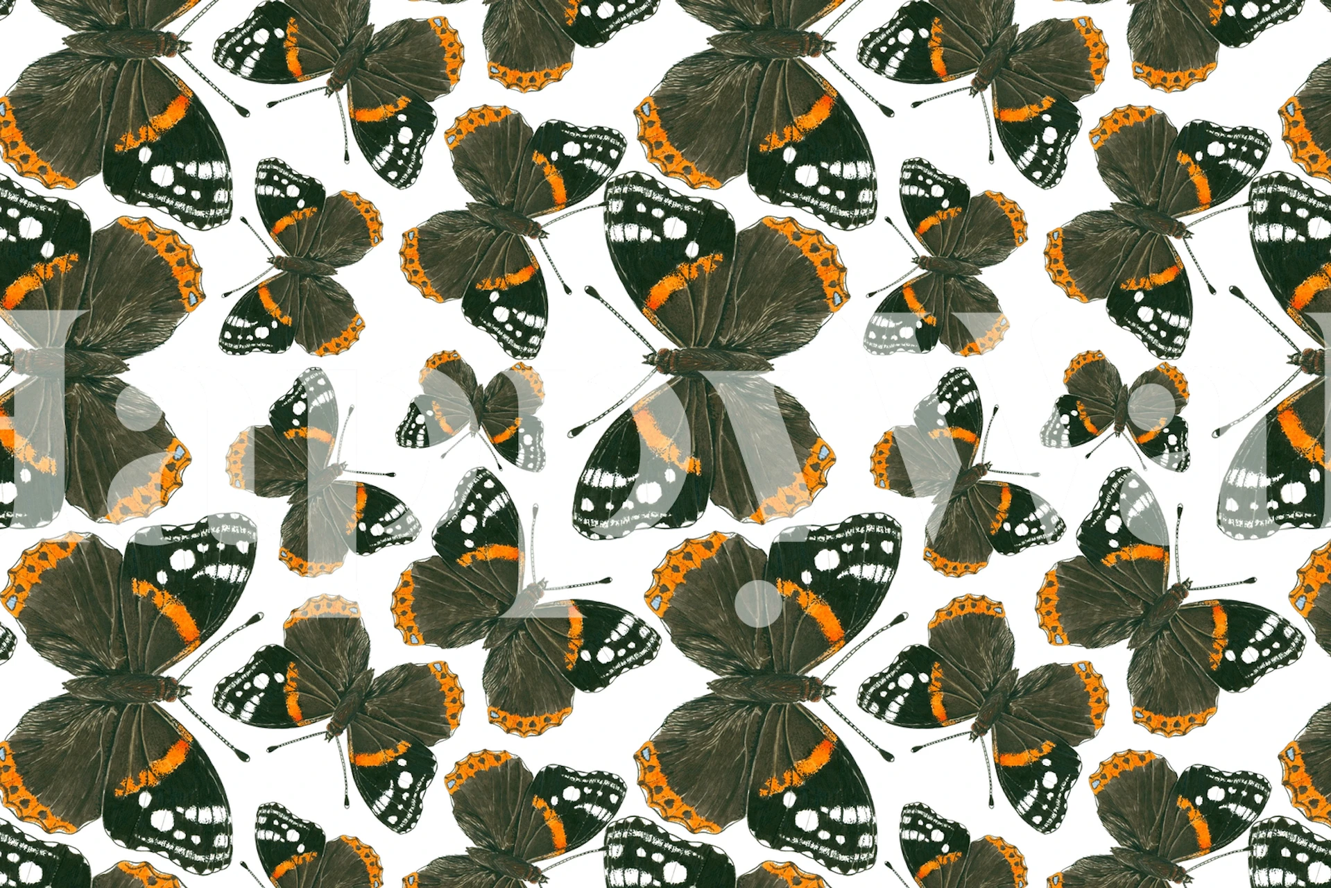 Red Admiral butterfly wall mural with a pattern of vibrant orange and black butterflies