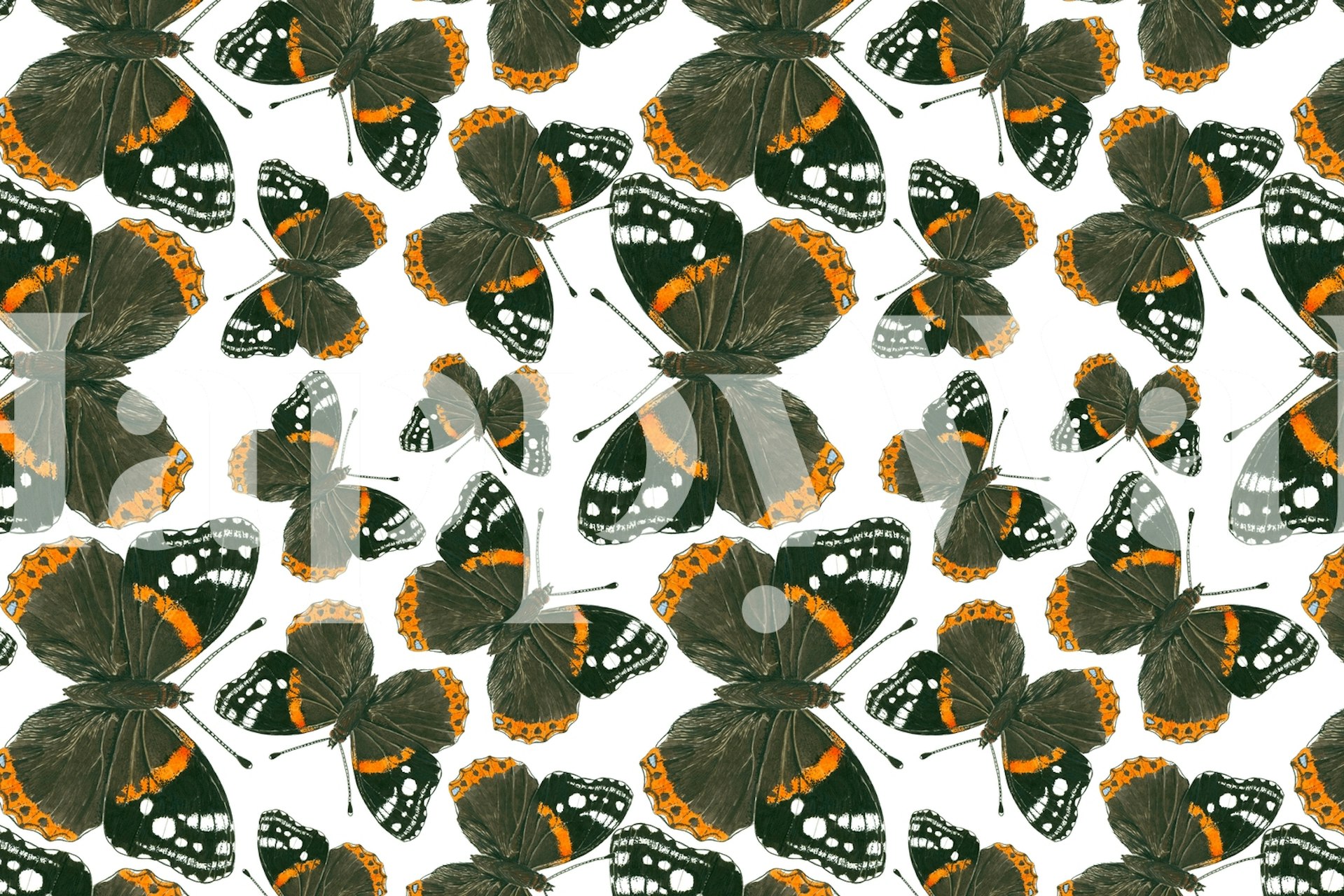 Red Admiral butterfly wall mural with a pattern of vibrant orange and black butterflies
