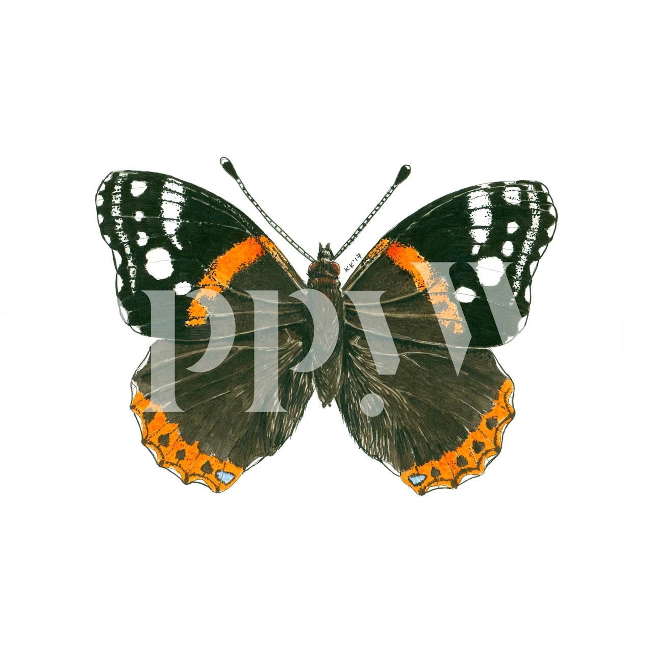 Admiral butterfly wall mural with vibrant orange and black colors