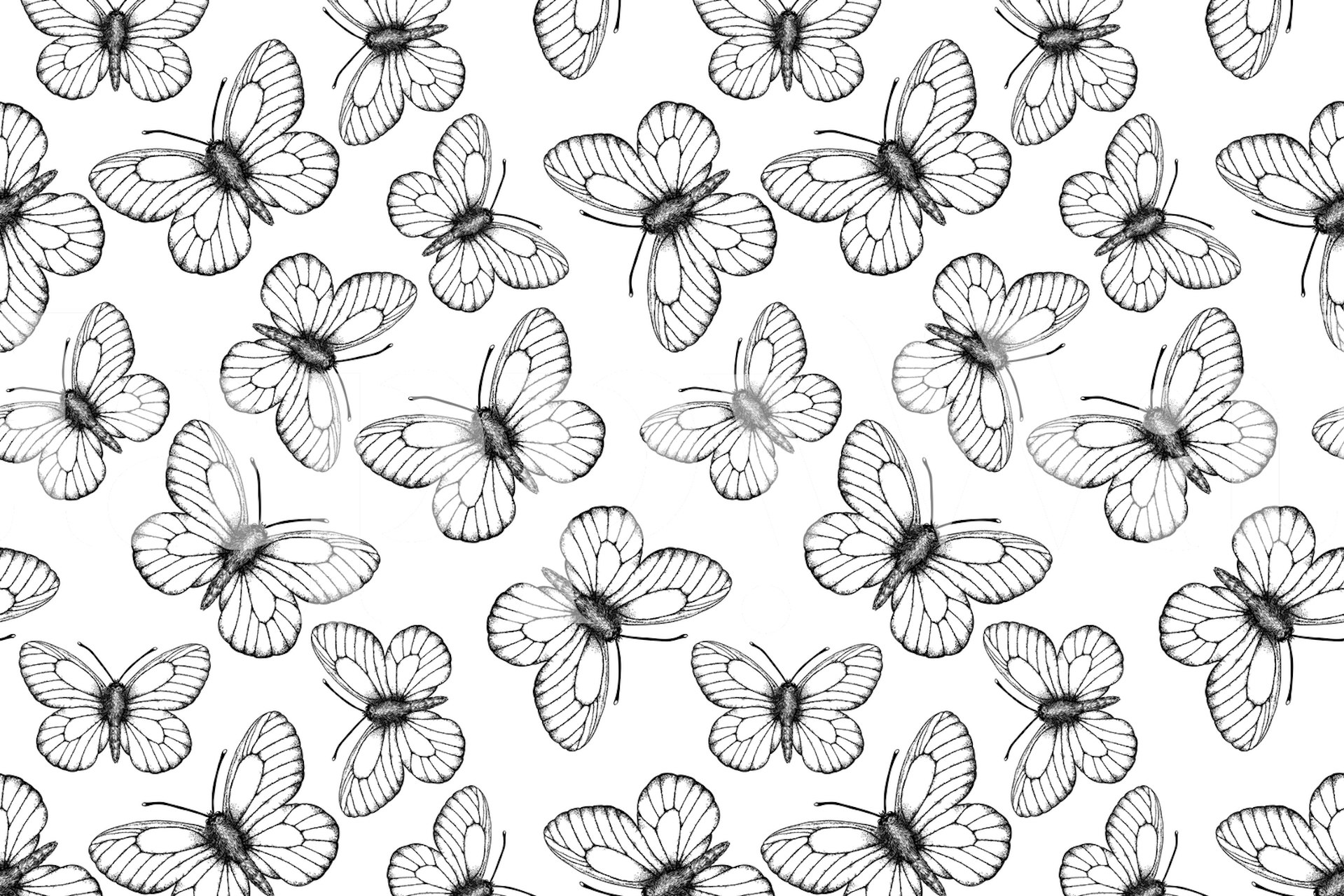 White butterfly pattern wallpaper in a room