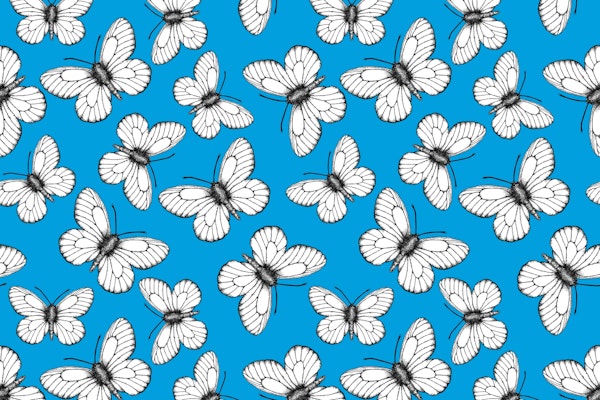 White butterfly pattern 3