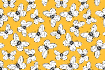 Τοιχογραφία