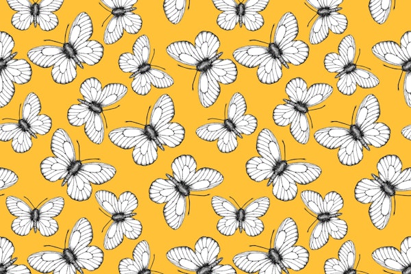 White butterfly pattern 4